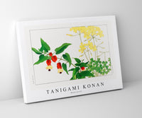 Tanigami Konan - Wood sorrel