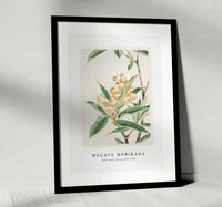 Megata Morikaga - Biwa loquat during 1870–1880