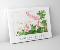 Tanigami Konan - Vintage marguriete flower
