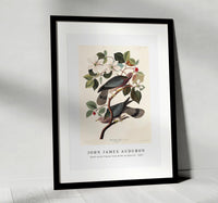 John James Audubon - Band-tailed Pigeon from Birds of America (1827)