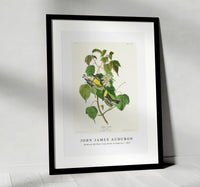 John James Audubon - Hemlock Warbler from Birds of America (1827)