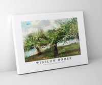 winslow homer - Girl Picking Apple Blossoms-1879