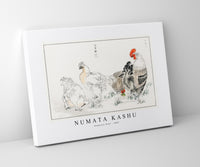 Numata Kashu - Domestic Fowl illustration from Pictorial Monograph of Birds (1885)