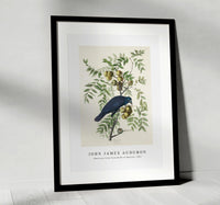 John James Audubon - American Crow from Birds of America (1827)