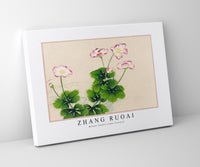 Zhang Ruoai - Mallow flowers (18th Century)