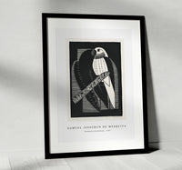 Samuel Jessurun De Mesquita - Parakeets (Parkieten) (1927)