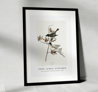 John James Audubon - Pewit Flycatcher from Birds of America (1827)