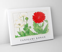 Tanigami Konan - Vintage poppy flower