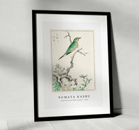 Numata Kashu - Ruby Throat and Wild Camomile illustration from Pictorial Monograph of Birds (1885)