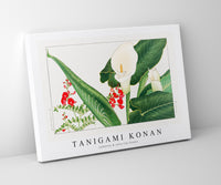 Tanigami Konan - Lathyrus & calla lily flower