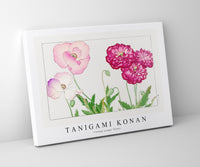 Tanigami Konan - Vintage poppy flower