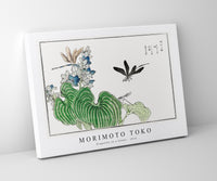 Morimoto Toko-Dragonfly on a flower illustration from Churui Gafu (1910)