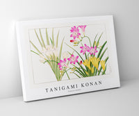 Tanigami Konan - Freesia flower