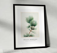 Megata Morikaga - Gayo matsu pine during 1870–1880