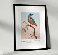 Barbara Regina Dietzsch - IJsvogel (Common Kingfisher)