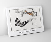 Morimoto Toko - Butterflies illustration from Churui Gafu (1910)