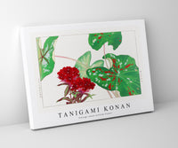 Tanigami Konan - Vintage sweet william flower