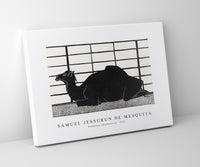 Samuel Jessurun De Mesquita - Dromedary (Dromedaris) (1912)