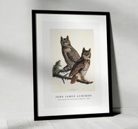 John James Audubon - Great Horned Owl from Birds of America (1827)
