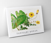 Tanigami Konan - Caladium & coreopsis