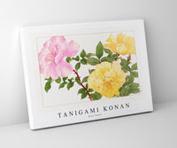 Tanigami Konan - Rose flower