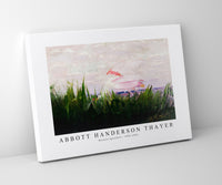 abbott handerson thayer - Roseate Spoonbill-1905-1909