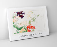Tanigami Konan - Sweetpea flower