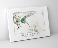 Numata Kashu - Chinese Tree Pipit and Magnolia illustration from Pictorial Monograph of Birds (1885)