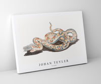 Johan Teyler - A snake