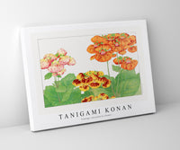 Tanigami Konan - Vintage calceolaria flower