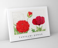 Tanigami Konan - Vintage poppy flower