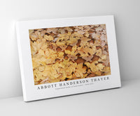 abbott handerson thayer - Copperhead Snake on Dead Leaves-1910-1915