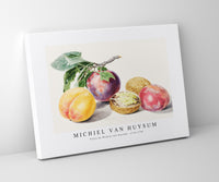 Michiel Van Huysum - Fruits by Michiel van Huysum (1714-1760)