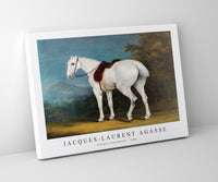 Jacques Laurent Agasse - A Lady's Grey Hunter (ca. 1806)