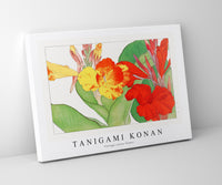 Tanigami Konan - Vintage canna flower
