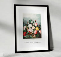 Robert John Thornton - Roses from The Temple of Flora (1807)