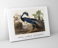 John James Audubon - Louisiana Heron from Birds of America (1827)