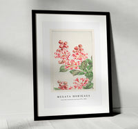 Megata Morikaga - Sarusubi blossoms during 1870–1880