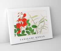 Tanigami Konan - Erythrina & panicum flower