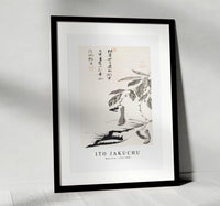 Ito Jakuchu - Bean Vine illustration by Ito Jakuchu (1716–1800)