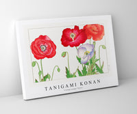 Tanigami Konan - Vintage poppy flower