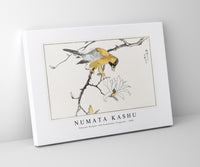 Numata Kashu - Tibetan Hoopoe and Osmanthus Fragrans illustration from Pictorial Monograph of Birds (1885)