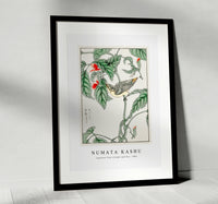 Numata Kashu - Japanese Tree-creeper and Pea illustration from Pictorial Monograph of Birds (1885)