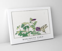 Morimoto Toko - Butterfly with flower illustration from Churui Gafu (1910)