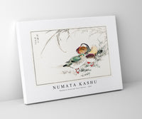 Numata Kashu - Mandarin Duck and Pearl Barley illustration from Pictorial Monograph of Birds (1885)