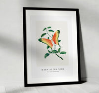 Mary Altha Nims - Rose Bush and Butterfly