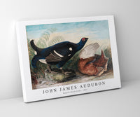 John James Audubon - English Black Cocks (1828)