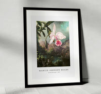 Martin Johnson Heade - Orchid Blossoms (1873)