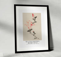 Katsushika Hokusai - Large Pink Blossom on a Stem with Three Additional Buds 1830-1850