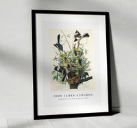 John James Audubon - Mocking Bird from Birds of America (1827)